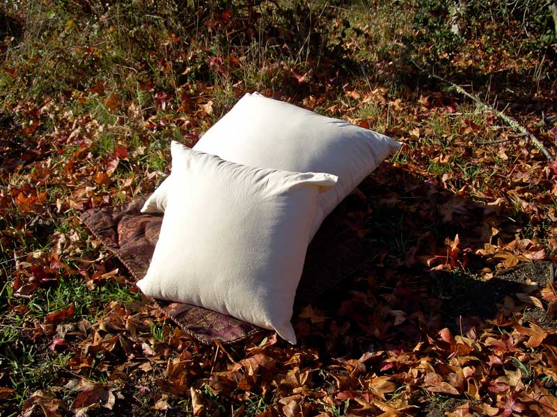 cushions