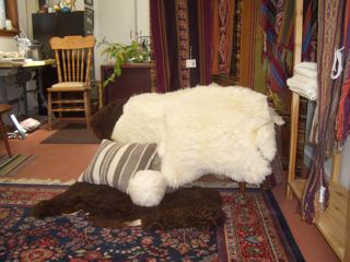 sheepskins1