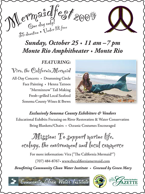 2009 poster