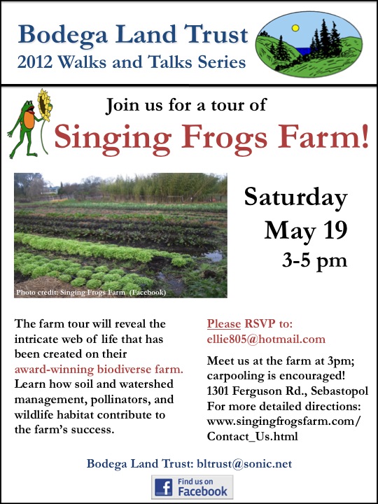 singingfrogs