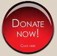 donate button