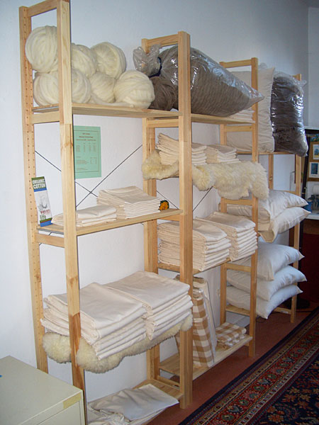 shelves1